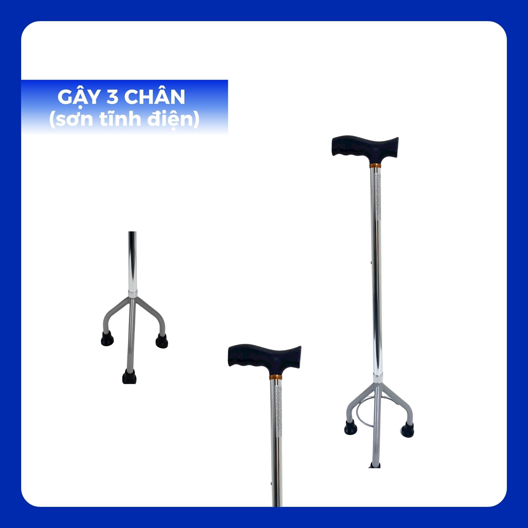 GC - Gậy Chống Cho Người Già - Ảnh 5