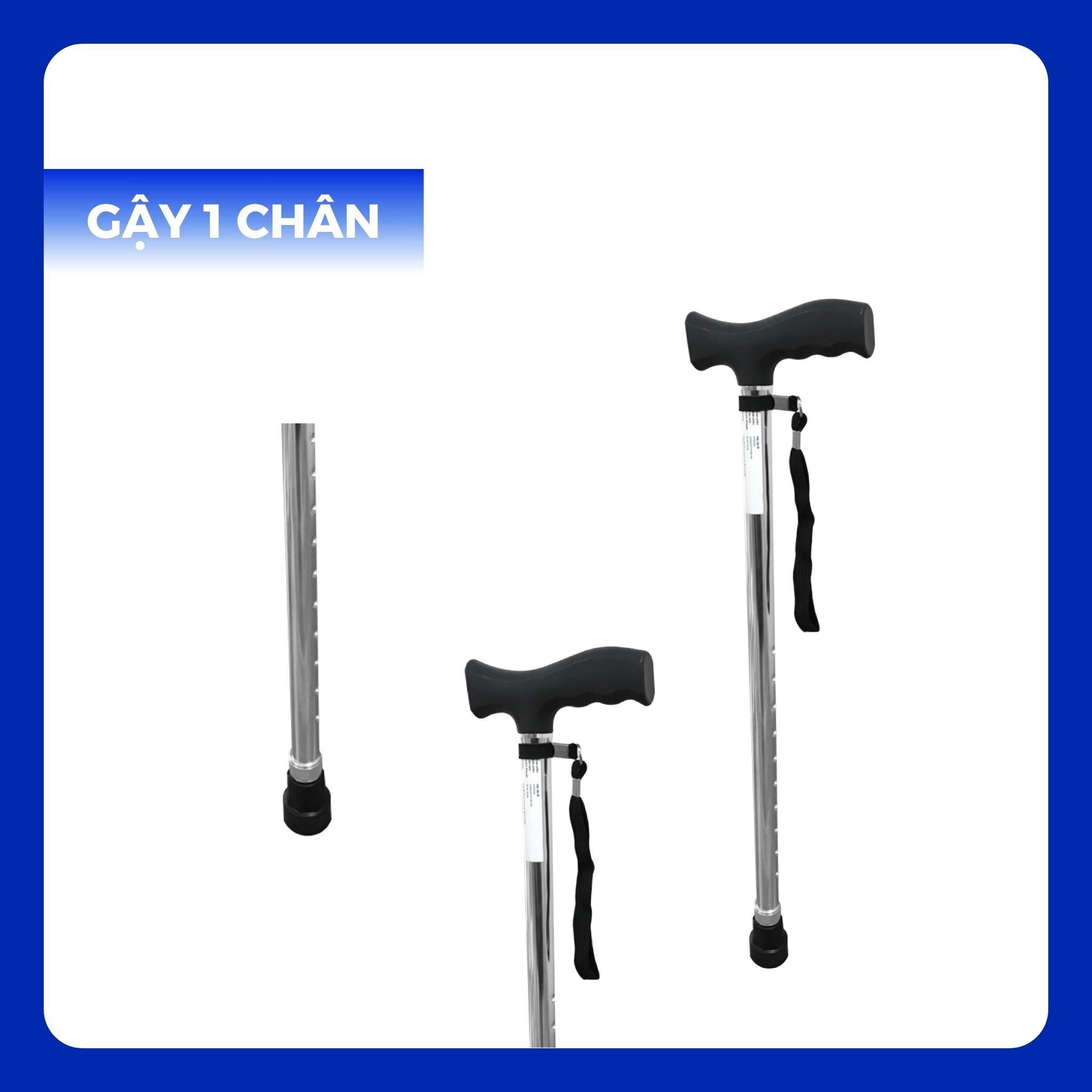 GC - Gậy Chống Cho Người Già - Ảnh 3